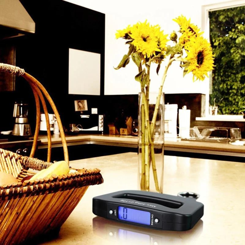 pese bagage electronique portable